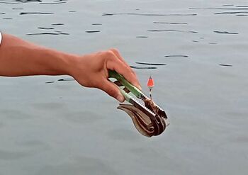 10940 釣り202108-9.jpg