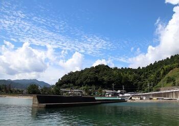 11023 海202109-7.JPG