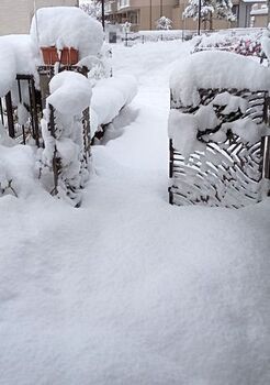 11413 雪202111-12.jpg