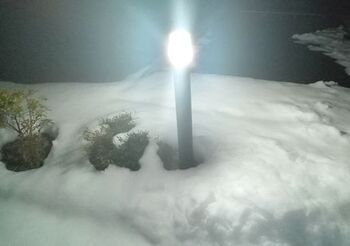 11439 雪202201-2.jpg