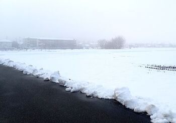 11440 雪202201-1.jpg