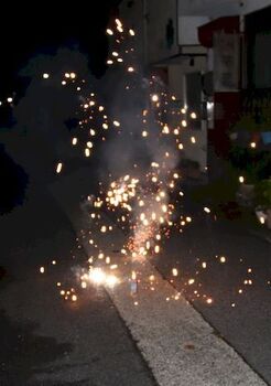 12170-2 花火202208-1.JPG
