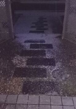 12572 雪202212-10.jpg