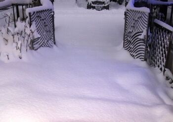 12661 雪202301-5.jpg
