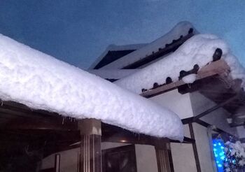 12666-2 雪202301-11.jpg