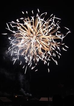 13264 花火202307-6.jpg