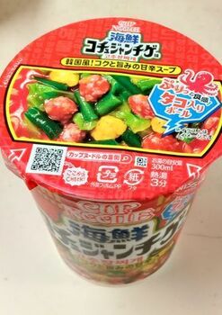 13270 コチジャンチゲ202307-1.jpg