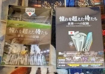 13571 野球のディスク202310.jpg