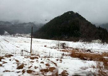 13869 雪202402-2.jpg