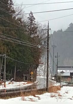 13871 雪202402-1.jpg