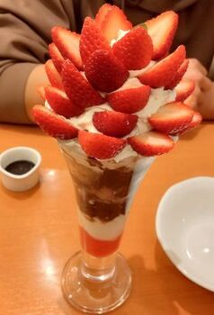 13883 ココス202402-2.jpg