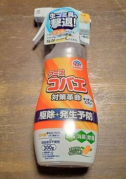 14234-2 小バエ202405-1.jpg