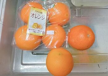 14242 オレンジ202405-2.jpg
