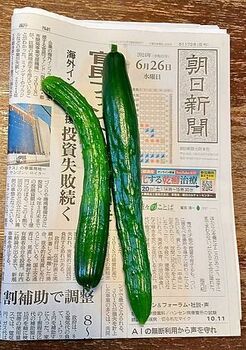 14352-2 24キュウリ0626.jpg