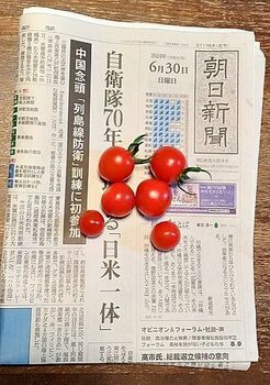 14353-3 24キュウリ0630.jpg