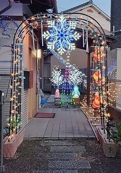 14857 イルミネーション202412-12.jpg
