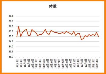 14880 体重計202412.jpg