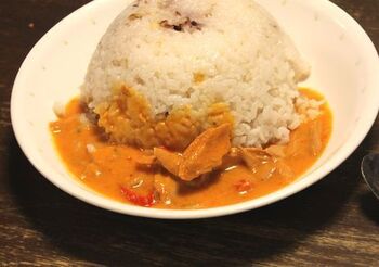2542 イナバカレー201404.jpg