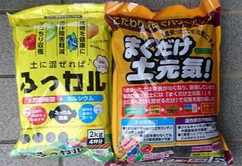 9435 プランター土202004-4.JPG