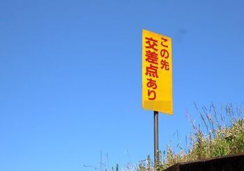 9498 散歩202005-2.JPG