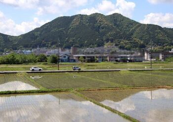 9499 散歩202005-5.JPG