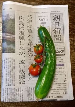9741-3 20キュウリ0807.JPG