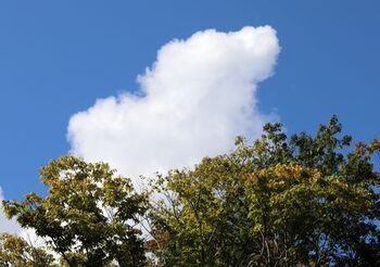 9988 景色202010-3.JPG