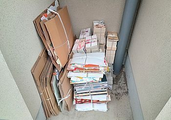 15019 ダンボール棚202502-1.jpg